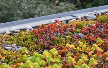 the cost of East Mere green roof installation
