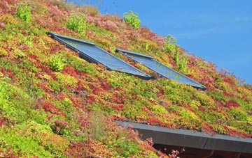 East Mere living roof systems